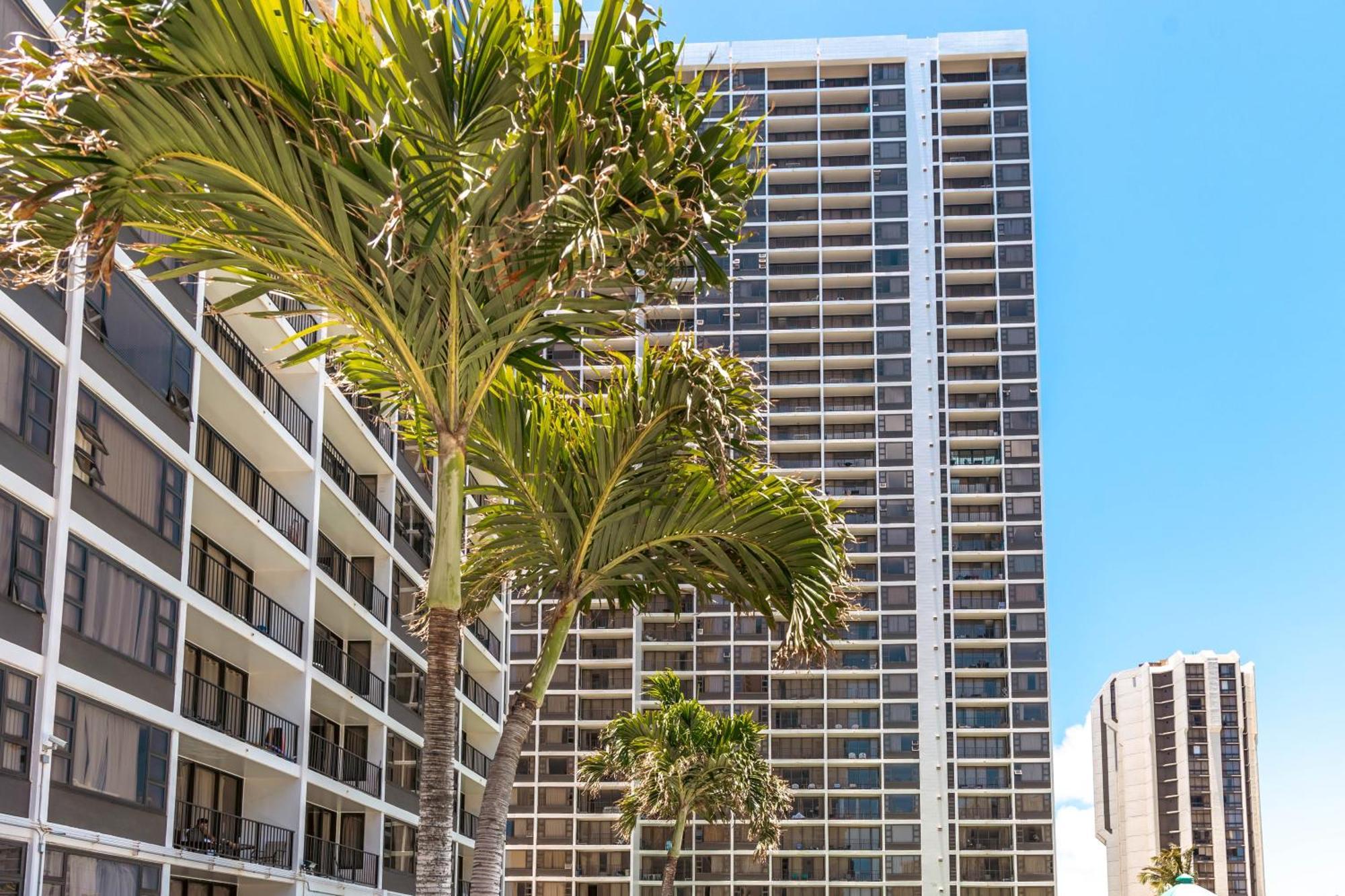 Diamond Head & Ocean View Gem Near Waikiki Beach, Parking'S On Us 호놀룰루 외부 사진