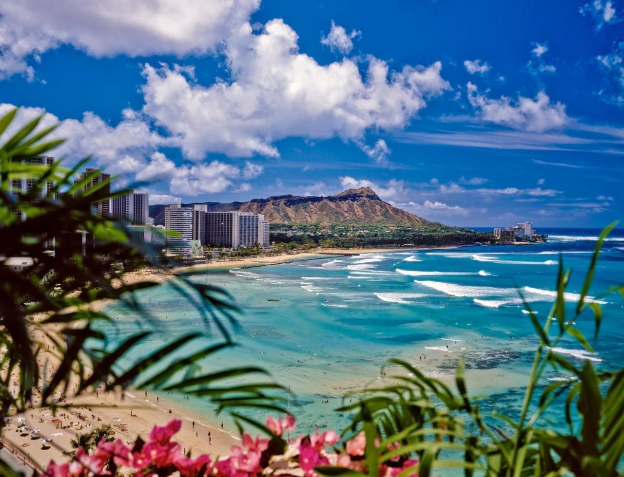Diamond Head & Ocean View Gem Near Waikiki Beach, Parking'S On Us 호놀룰루 외부 사진